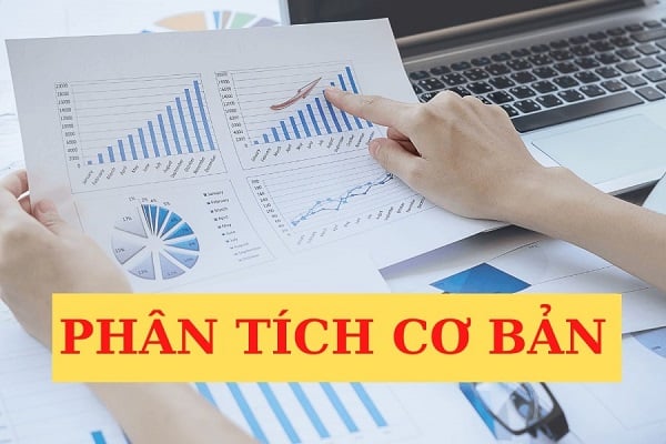 Phân tích cơ bản thu thập dữ liệu từ nhiều nguồn công khai