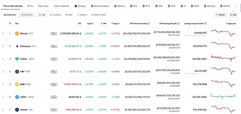 Phần này hiển thị tổng quan về giá và biểu đồ của từng loại coin