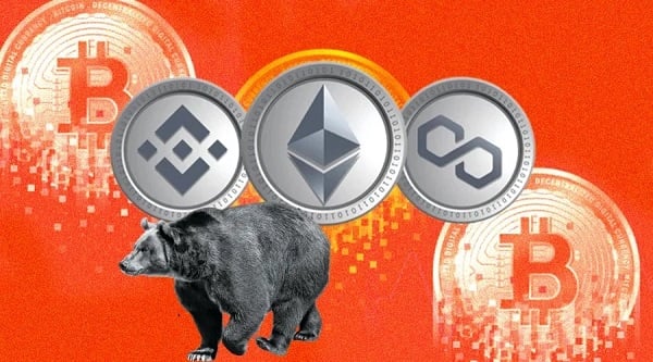 Thị trường crypto đã nhiều lần trải quua các đợt bear market đầy biến động