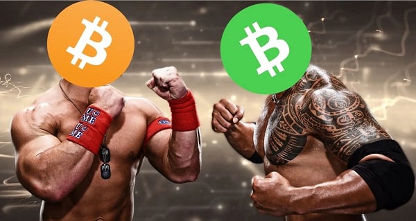 Bitcoin và Bitcoin Cash phù hợp cho những mục đích khác nhau