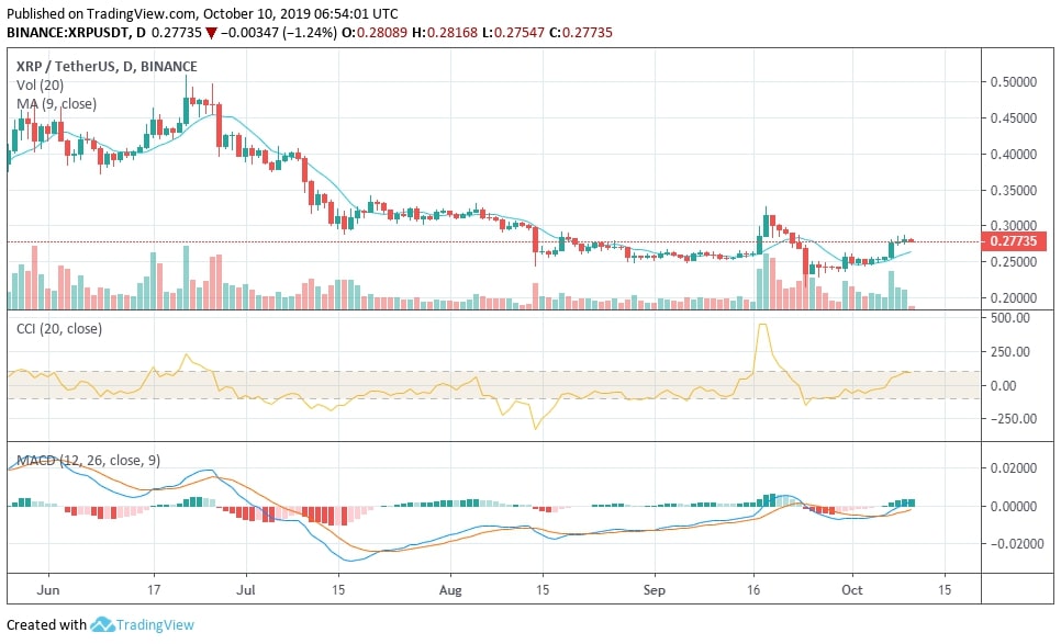 Nhiều chỉ báo kỹ thuật cùng loại khiến cho trader không đánh giá đầy đủ thông tin từ thị trường.
