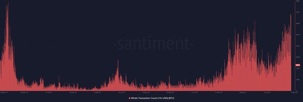 Phong trào cá voi Bitcoin | Nguồn: Santiment