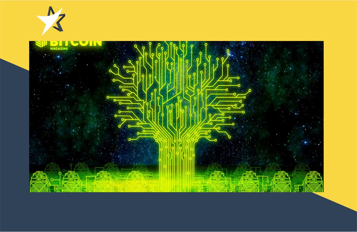 Hiểu về Taproot theo cách đơn giản nhất