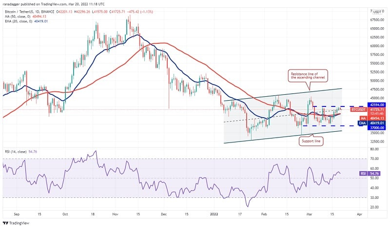 Biểu đồ hàng ngày BTC/USDT. Nguồn: TradingView