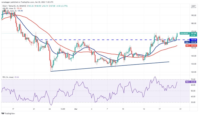 Biểu đồ 4 giờ của EGLD/USDT. Nguồn: TradingView