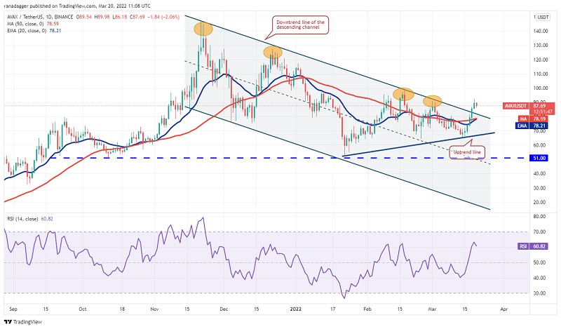 Biểu đồ AVAX/USDT hàng ngày | Nguồn: TradingView
