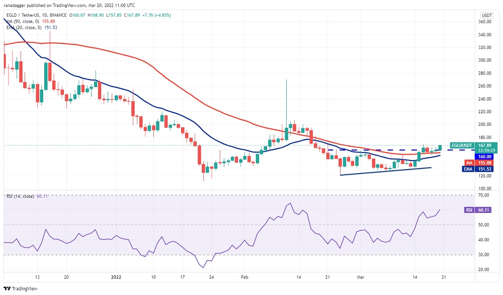 Biểu đồ hàng ngày của EGLD/USDT. Nguồn: TradingView