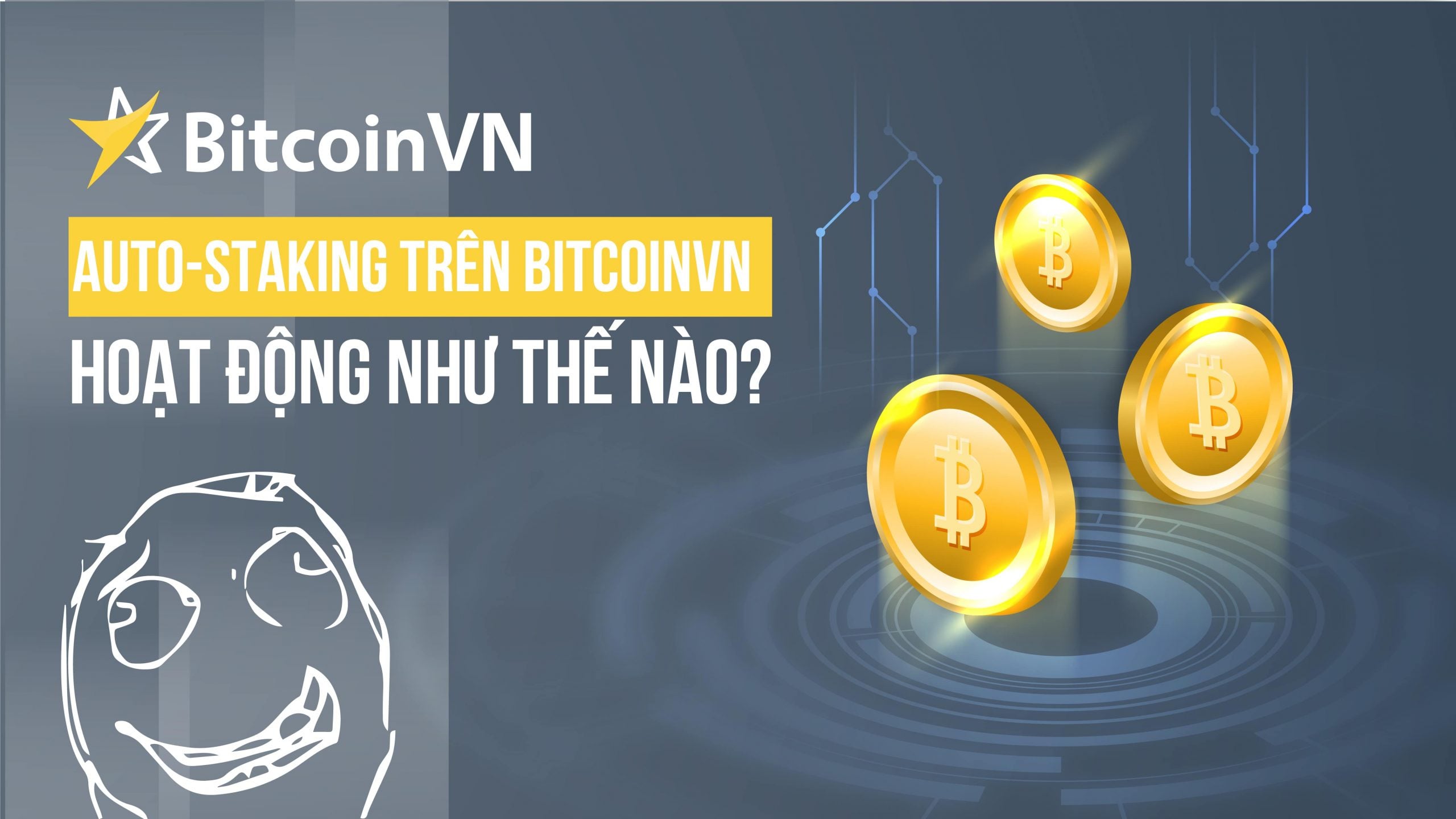 Tính năng tự động Staking trên BitcoinVN hoạt động như thế nào?