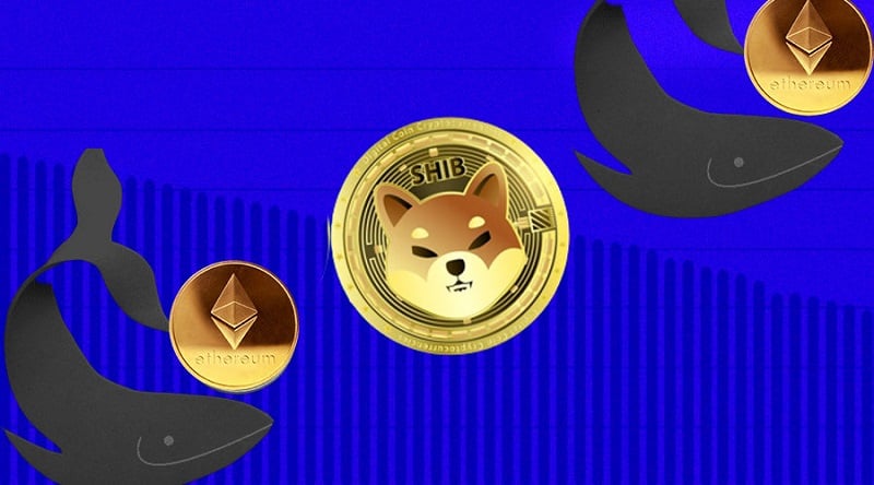 Tiền điện tử SHIB hình thành dựa trên nền tảng Ethereum