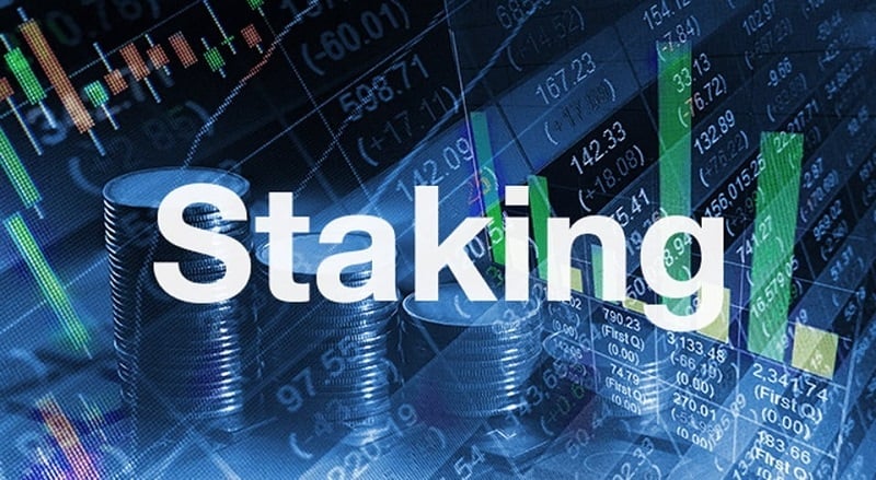 Có rất nhiều điều quan trọng cần lưu ý khi staking coin