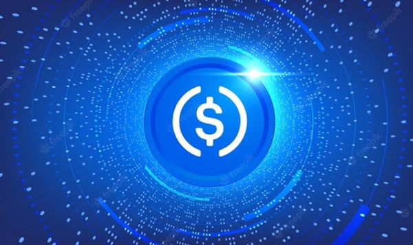 USDC được đánh giá là một trong những đồng coin tiềm năng 2024
