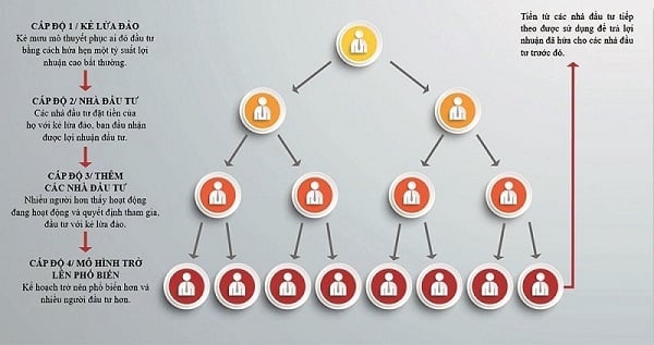 Ví dụ để giải thích cơ chế hoạt động của lừa đảo Ponzi là gì