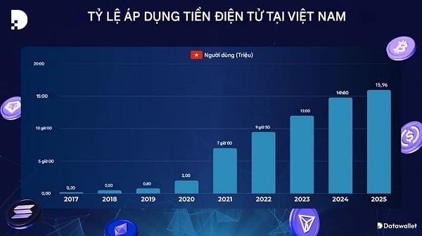 Tỷ lệ chấp nhận tiền điện tử tại Việt Nam (Nguồn: Datawallet)