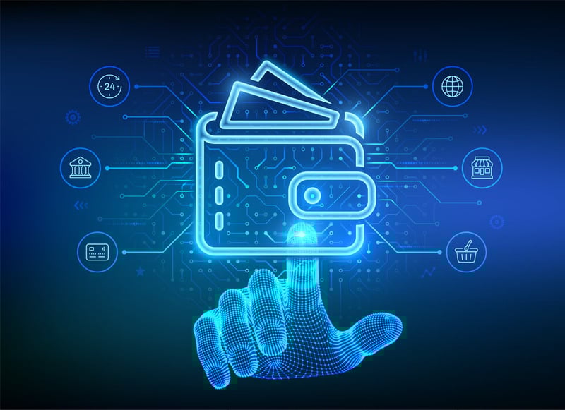 what is a decoy wallet