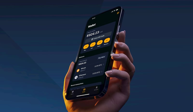 what is a decoy wallet