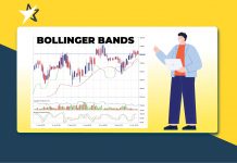 Thuật ngữ Bollinger Bands và cách sử dụng Bollinger Bands trong trading