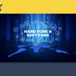 Hard Fork và Soft Fork là gì? Liệt kê những hard fork “đình đám” nhất