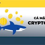 Hiểu về cá mập trong thị trường cryptocurrency