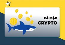 Hiểu về cá mập trong thị trường cryptocurrency