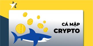 Hiểu về cá mập trong thị trường cryptocurrency