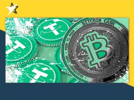 6 triệu USDT trên chuỗi Bitcoin Cash nêu bật lợi ích của mã token SLP