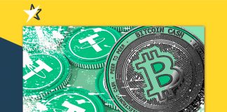 6 triệu USDT trên chuỗi Bitcoin Cash nêu bật lợi ích của mã token SLP