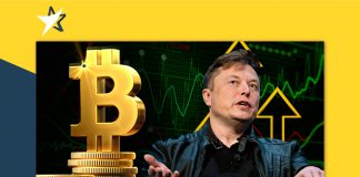 Elon Musk ủng hộ Bitcoin, nói BTC đang trên đà chấp nhận rộng rãi