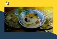 Ai sở hữu ví cá mập Dogecoin? CEO Robinhood bác bỏ các suy đoán