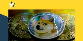 Ai sở hữu ví cá mập Dogecoin? CEO Robinhood bác bỏ các suy đoán