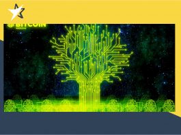 Hiểu về Taproot theo cách đơn giản nhất