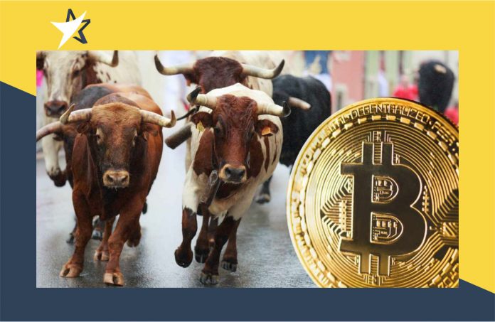 Dự đoán bitcoin tăng giá vào quý 4 năm 2022