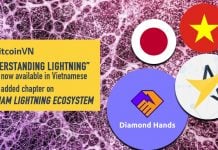 “Understanding Lightning” report now available in Vietnamese - with added chapter on Vietnam Lightning ecosystem