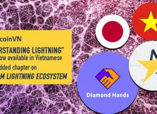 “Understanding Lightning” report now available in Vietnamese - with added chapter on Vietnam Lightning ecosystem