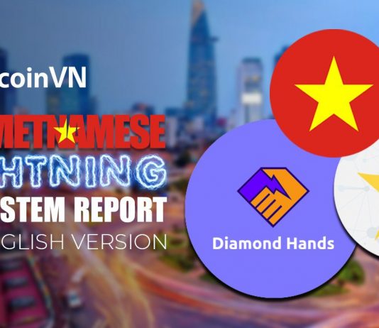 The Vietnamese Lightning ecosystem – report now available in English