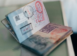 Stamped passport pages