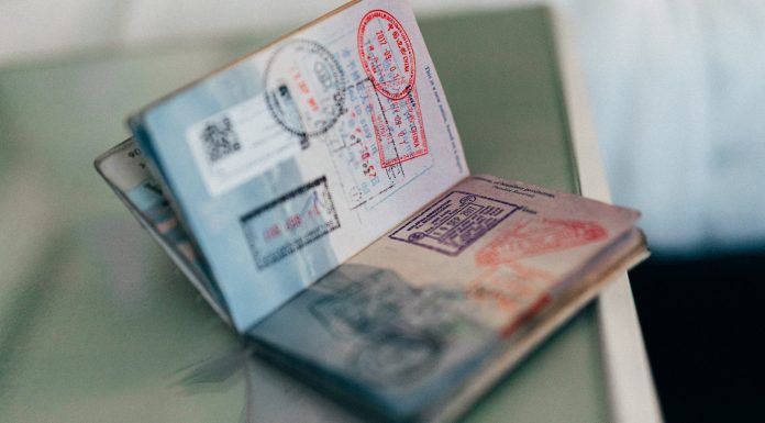 Stamped passport pages