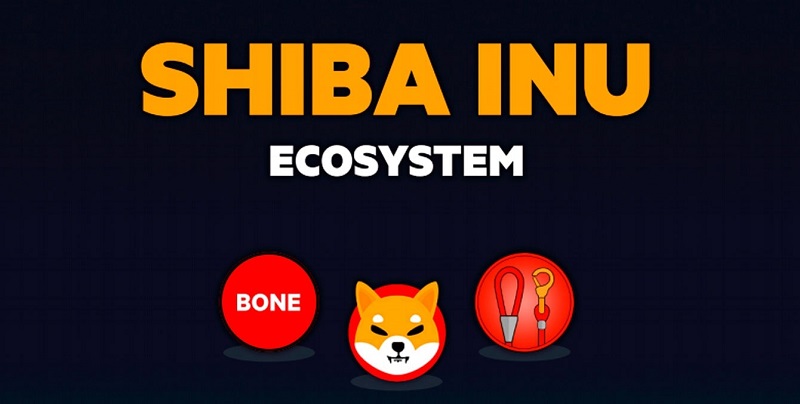 Hệ sinh thái tiền ảo Shiba Inu