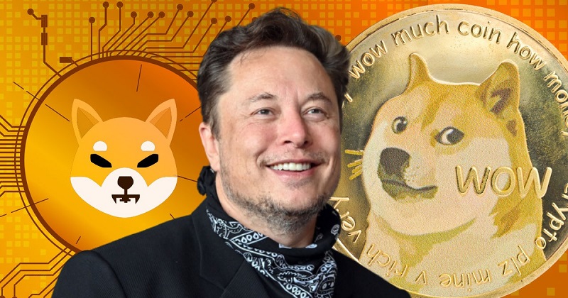 Bài tweet của Elon Musk khiến giá của tiền ảo SHIB tăng vọt