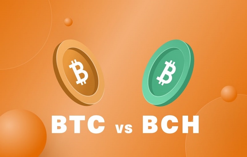 Bitcoin Cash (BCH) ra đời sau nhiều tranh cãi liên quan đến hard fork và soft fork