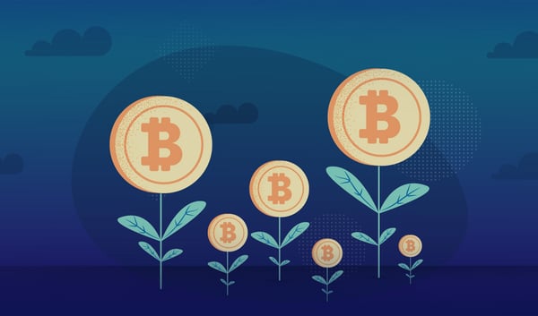 Cùng BitcoinVN khám phá top 7 phương pháp kiếm tiền bitcoin hiệu quả nhất 2024