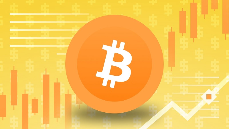 Bitcoin là loại tiền điện tử nổi tiếng và được chấp nhận rộng rãi nhất