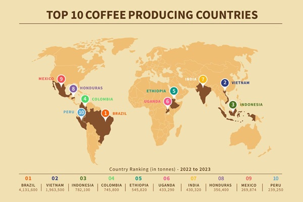 Thật bất ngờ, Việt Nam chính là đất nước có sản lượng xuất khẩu cà phê lớn thứ hai thế giới