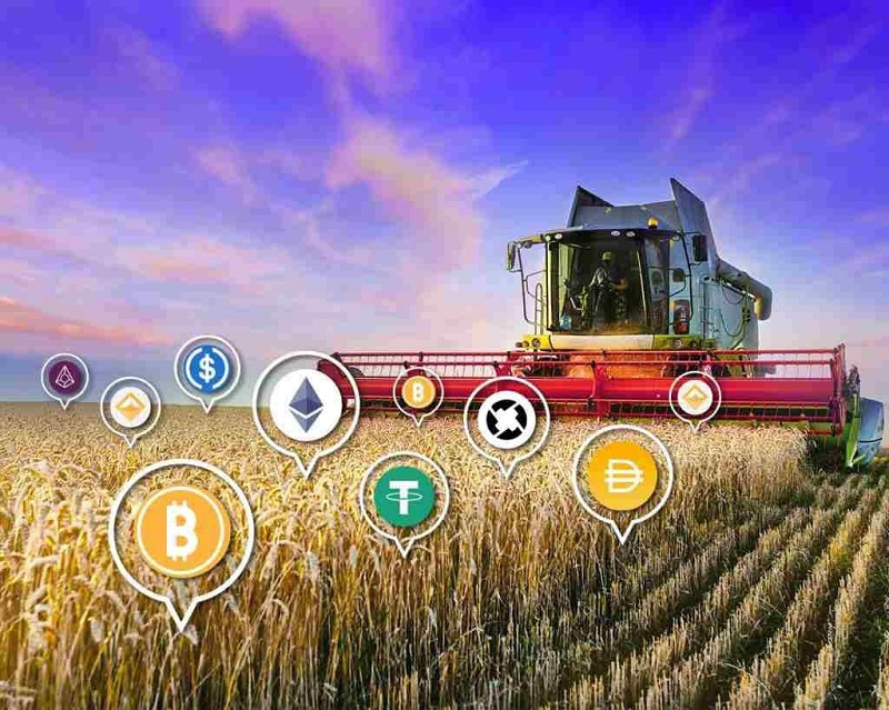 Dù mang lại lợi nhuận nhưng Yield Farming vẫn có rủi ro