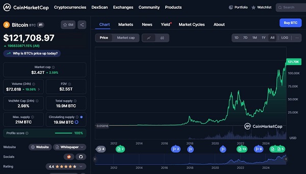 Bitcoin price hit a record of 100,000 USD in November 2024