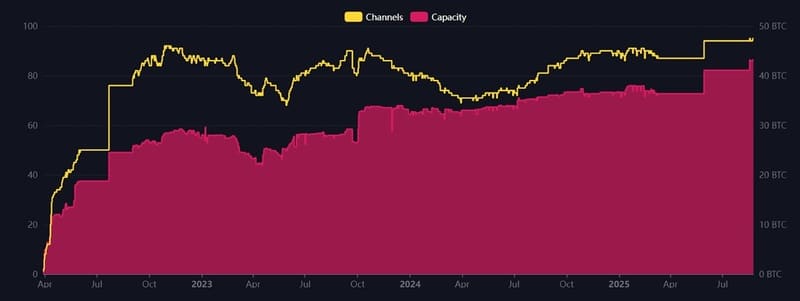 Lightning
Network stress test August 2025