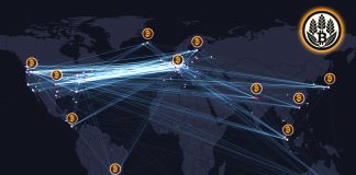 Do People Actually Use Bitcoin?