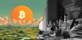 Bitcoin and the Cost of Trust