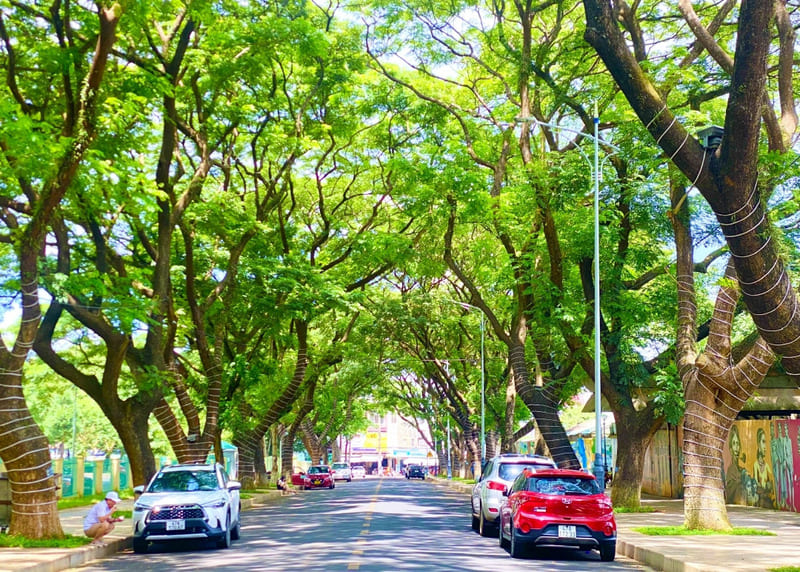 Not all Vietnamese cities are suffering under severe air pollution and traffic congestion - typical road scene in Buôn Ma Thuột