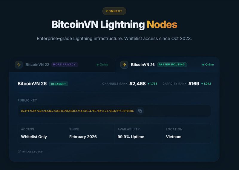 BitcoinVN26 - public routing node