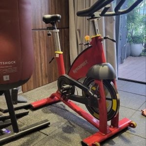 Cardio Exercise Bike (Used)